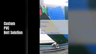 Gıda PVC Konveyör Bant Özelleştirilebilir Uzunluk