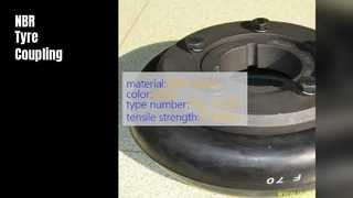 NBR Kauçuk Lastik Kaplin F40 F250 Yüksek Çekme